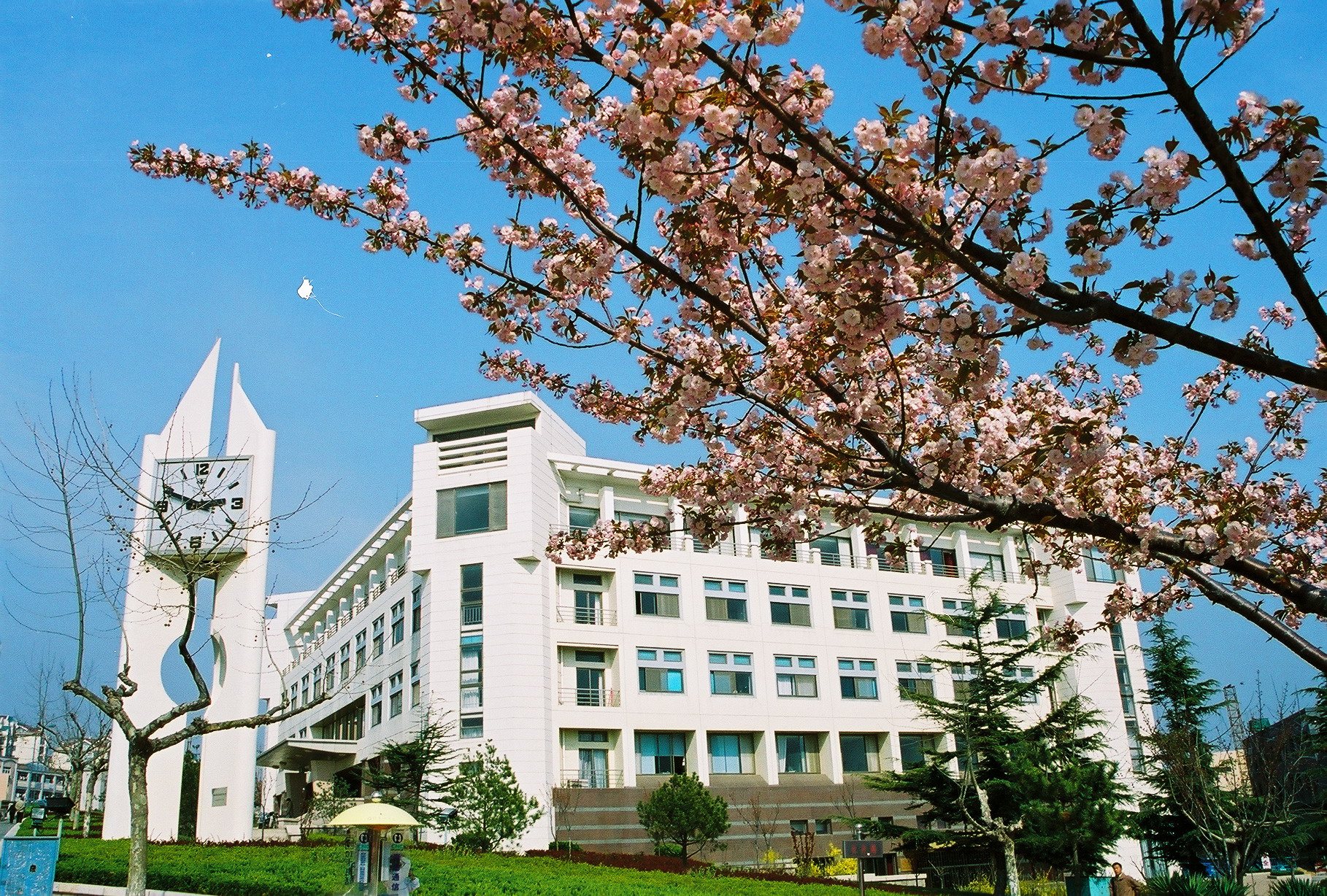 青岛大学简介